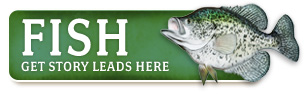 fish_home